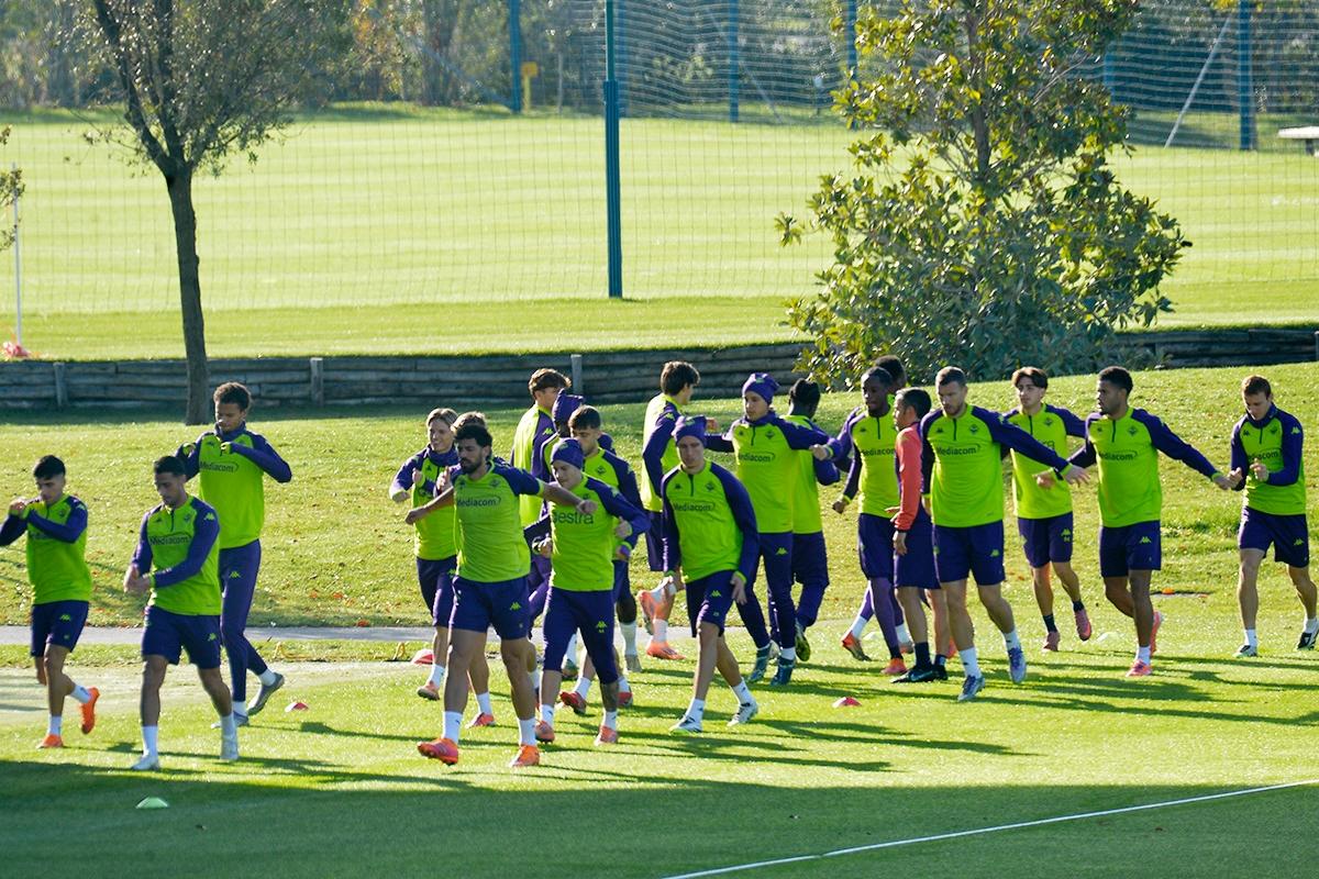 La giornata viola: il riassunto